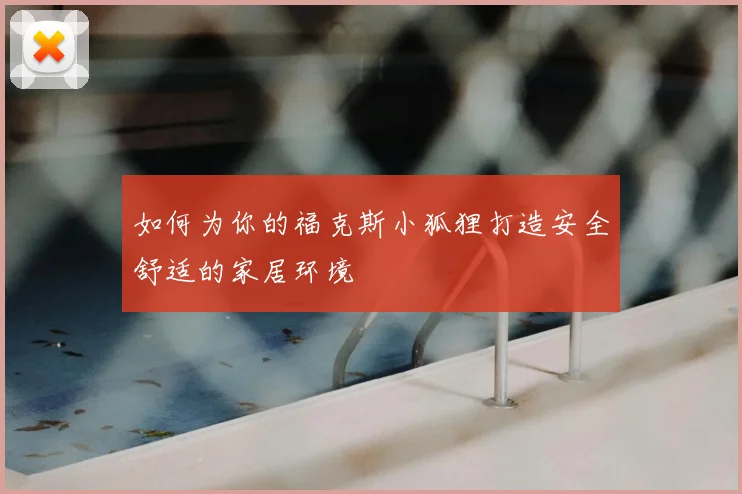 如何为你的福克斯小狐狸打造安全舒适的家居环境