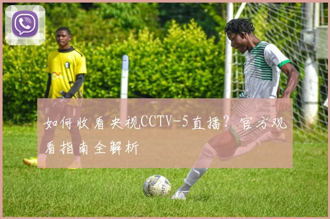 如何收看央视CCTV-5直播?官方观看指南全解析
