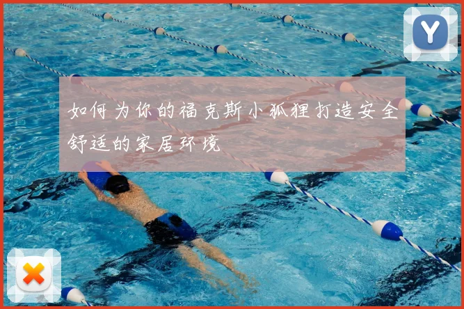 如何为你的福克斯小狐狸打造安全舒适的家居环境